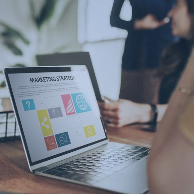 Building Brands Through Strategic Marketing & Distribution